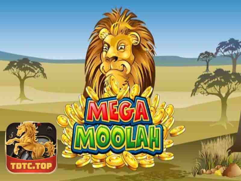 Slot Game Mega Moolah TDTC Và Điều Bạn Chưa Biết 